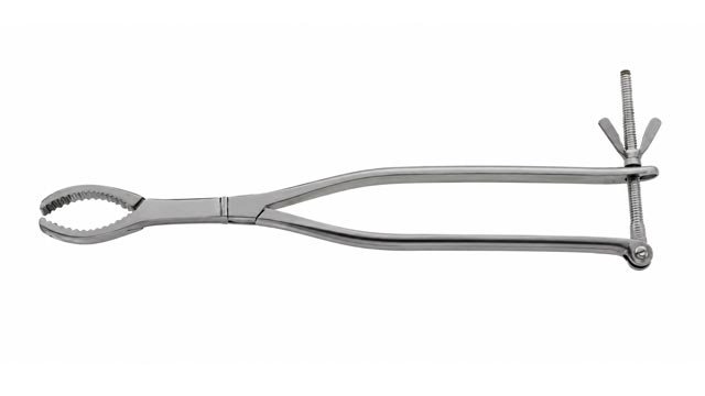 Lane Bone Holding Forceps Serrated Jaws with 2 x 2 Prongs 8" 10" 12"